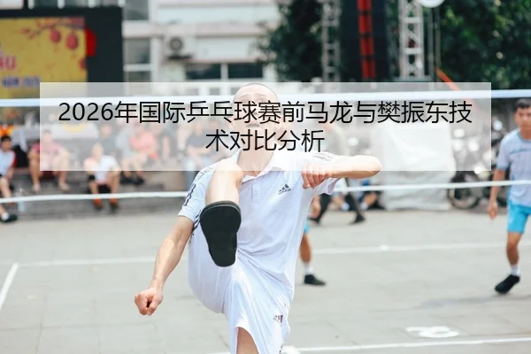 2026年国际乒乓球赛前马龙与樊振东技术对比分析