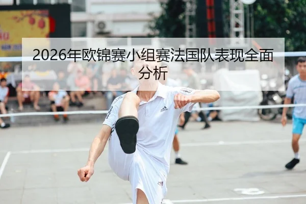 2026年欧锦赛小组赛法国队表现全面分析